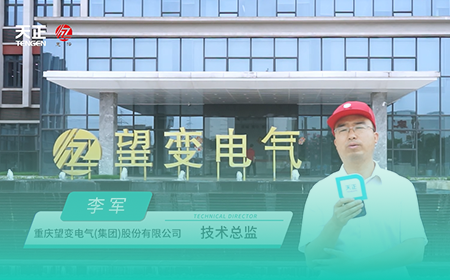 领航国际pgx望变电气